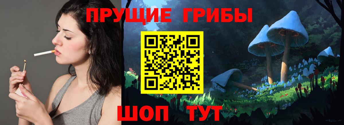 Галлюциногенные грибы прущие грибы Североморск