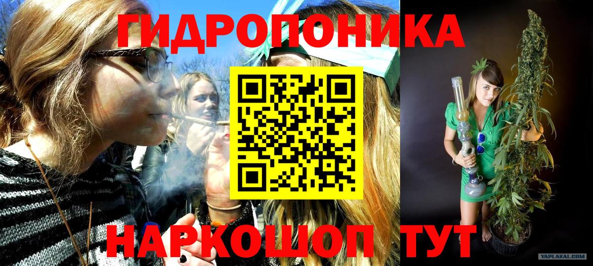 Бошки марихуана сатива Североморск